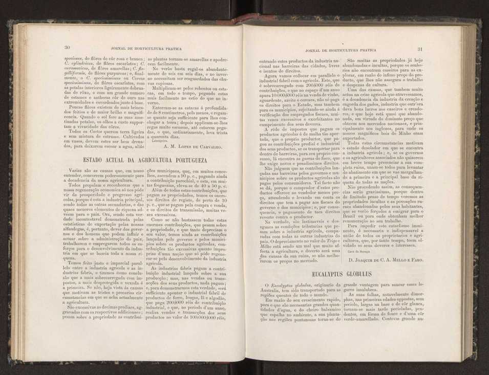 Jornal de horticultura prtica XIX 27