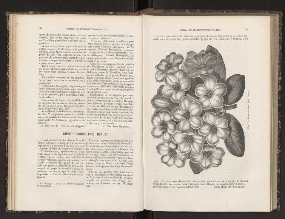 Jornal de horticultura prtica XIX 28