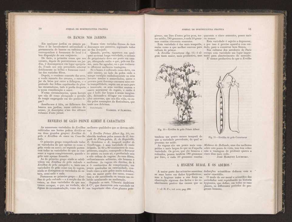 Jornal de horticultura prtica XIX 38