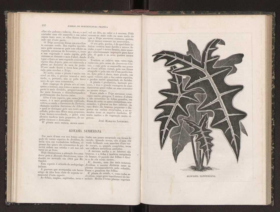Jornal de horticultura prtica XIX 83