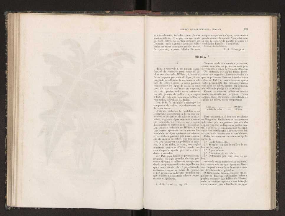 Jornal de horticultura prtica XIX 84