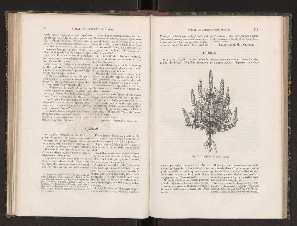 Jornal de horticultura prtica XIX 88