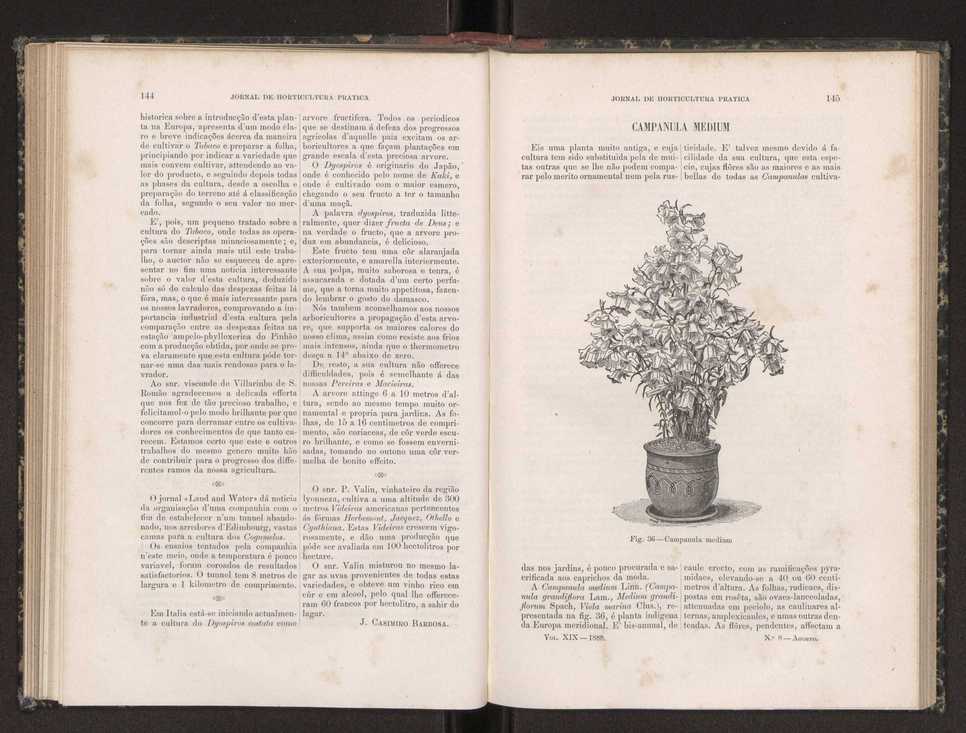 Jornal de horticultura prtica XIX 90