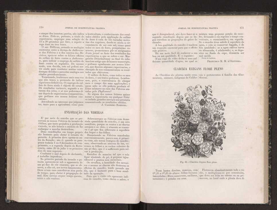 Jornal de horticultura prtica XIX 104