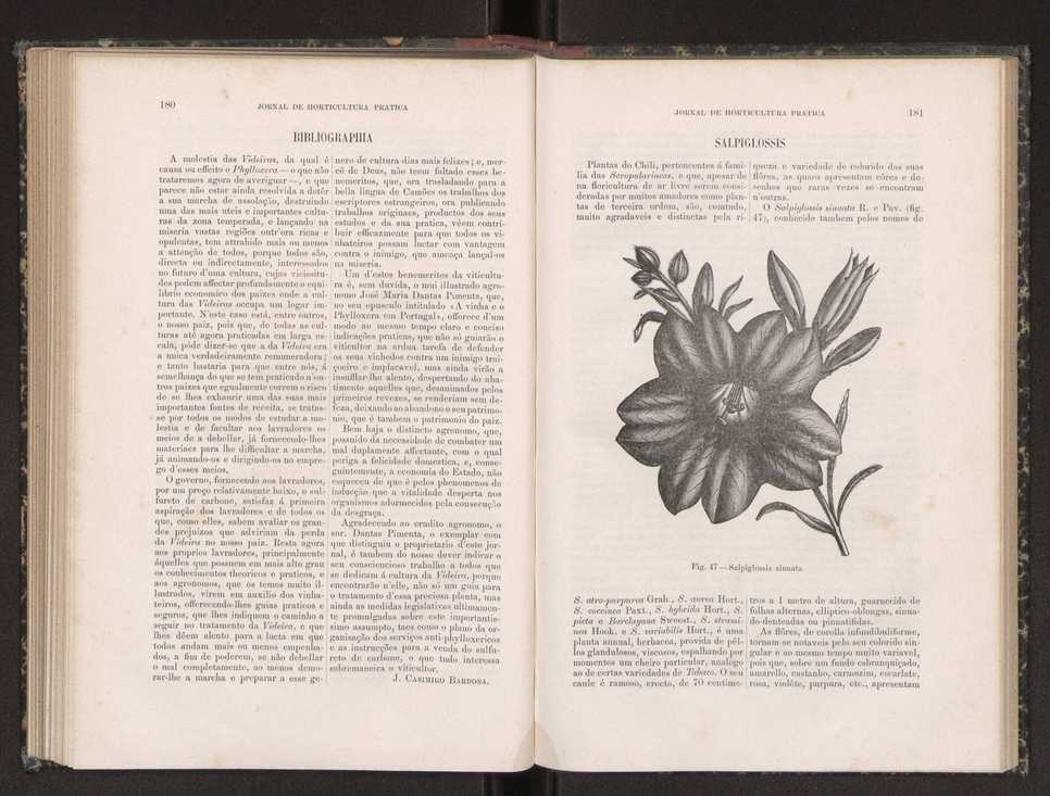 Jornal de horticultura prtica XIX 110