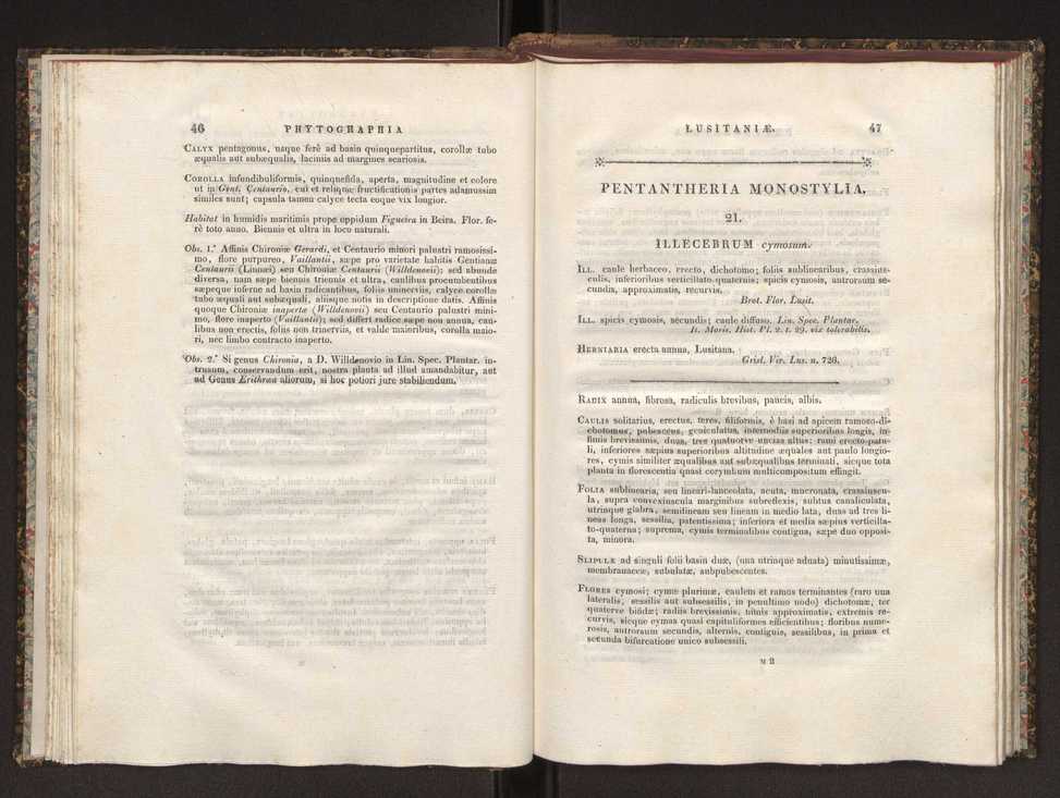 Phytographia lusitaniae selectior, seu novarum rariorum, et aliarum minus cognitarum stirpium, quae in Lusitania sponte' veniunt, ejusdemque floram spectant, descriptiones iconibus illustratae. Vol. 1 30