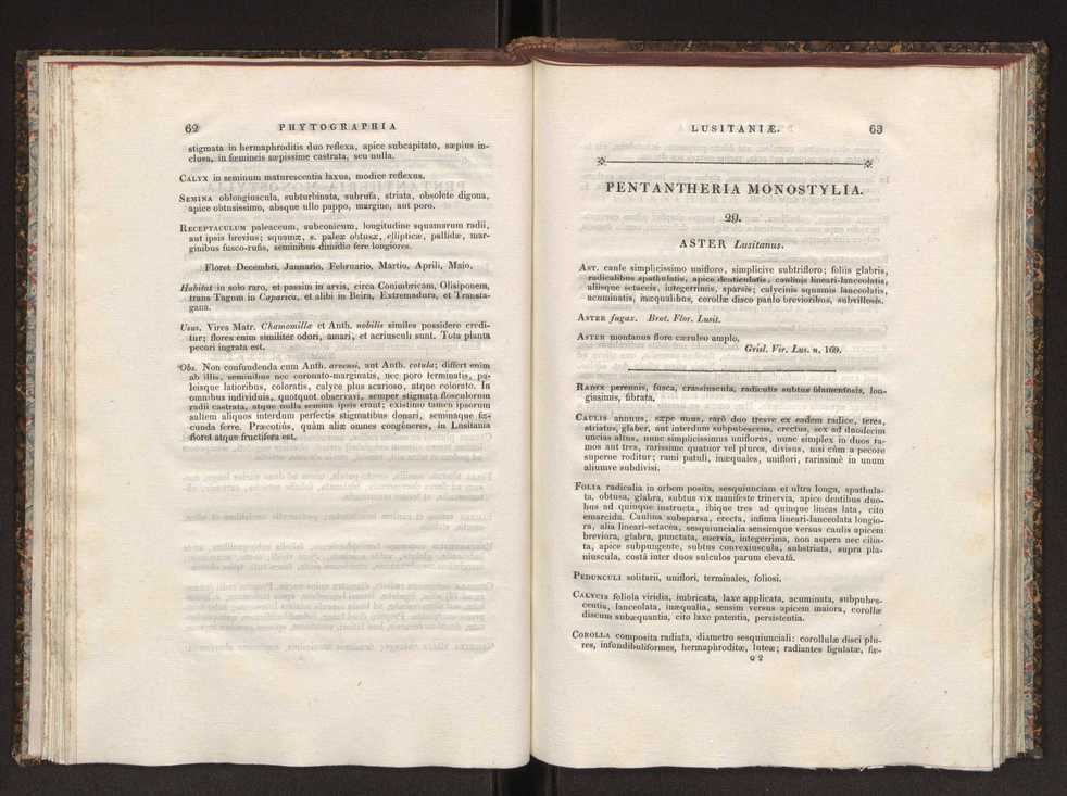 Phytographia lusitaniae selectior, seu novarum rariorum, et aliarum minus cognitarum stirpium, quae in Lusitania sponte' veniunt, ejusdemque floram spectant, descriptiones iconibus illustratae. Vol. 1 38