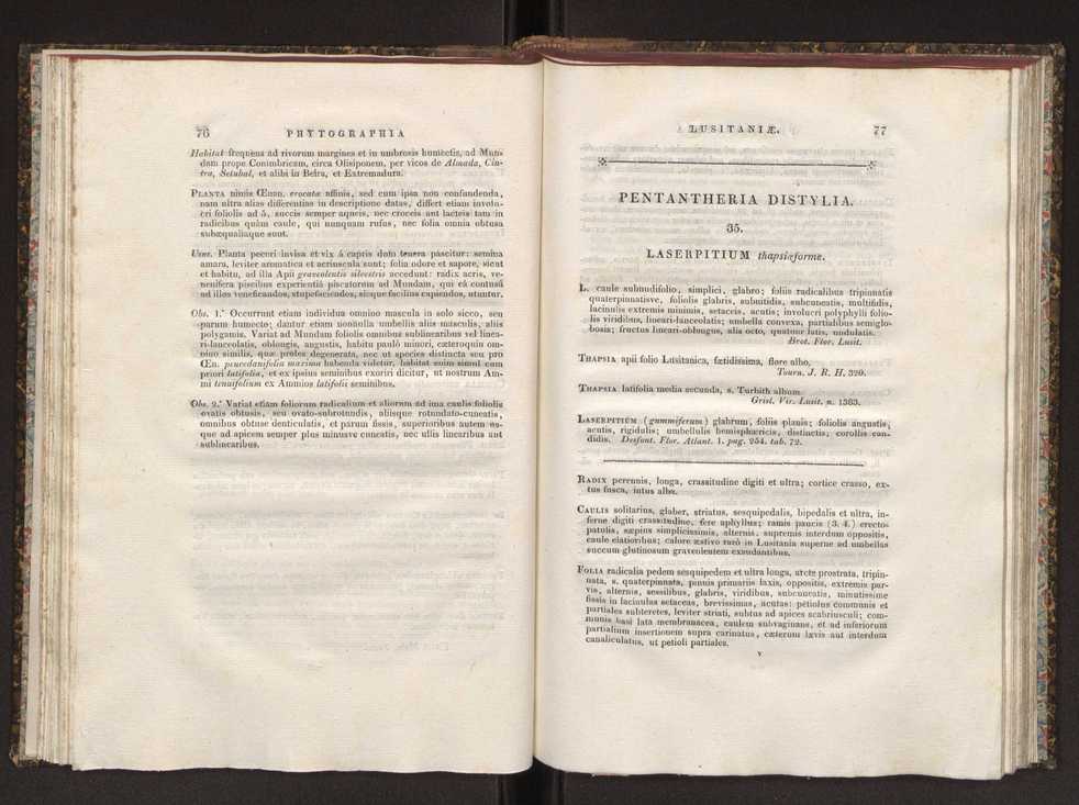 Phytographia lusitaniae selectior, seu novarum rariorum, et aliarum minus cognitarum stirpium, quae in Lusitania sponte' veniunt, ejusdemque floram spectant, descriptiones iconibus illustratae. Vol. 1 45