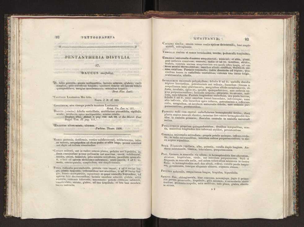 Phytographia lusitaniae selectior, seu novarum rariorum, et aliarum minus cognitarum stirpium, quae in Lusitania sponte' veniunt, ejusdemque floram spectant, descriptiones iconibus illustratae. Vol. 1 48