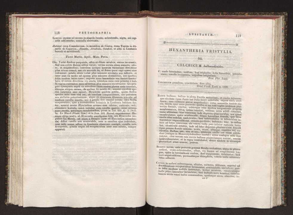 Phytographia lusitaniae selectior, seu novarum rariorum, et aliarum minus cognitarum stirpium, quae in Lusitania sponte' veniunt, ejusdemque floram spectant, descriptiones iconibus illustratae. Vol. 1 66