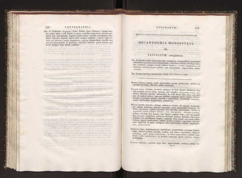 Phytographia lusitaniae selectior, seu novarum rariorum, et aliarum minus cognitarum stirpium, quae in Lusitania sponte' veniunt, ejusdemque floram spectant, descriptiones iconibus illustratae. Vol. 1 84