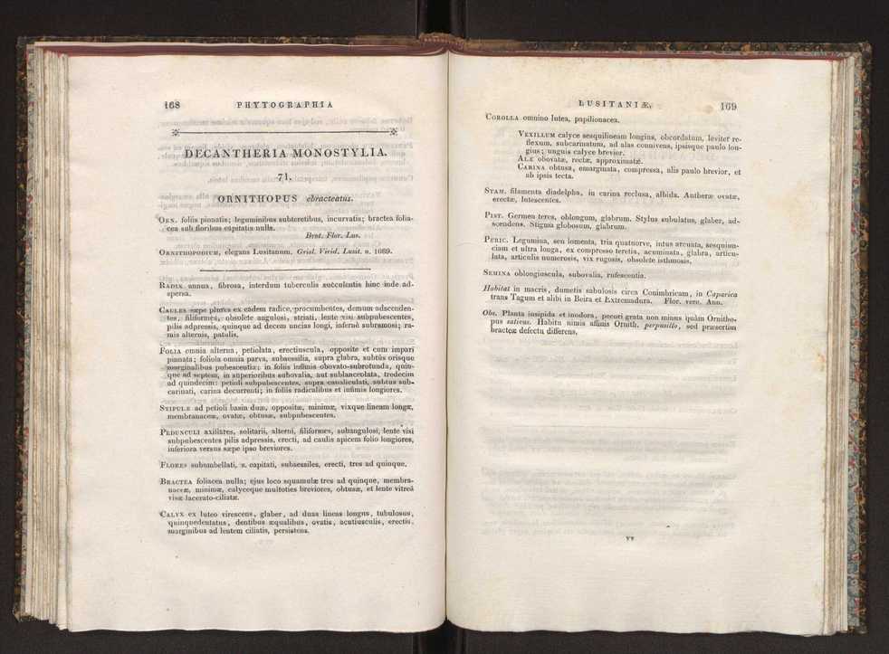 Phytographia lusitaniae selectior, seu novarum rariorum, et aliarum minus cognitarum stirpium, quae in Lusitania sponte' veniunt, ejusdemque floram spectant, descriptiones iconibus illustratae. Vol. 1 91