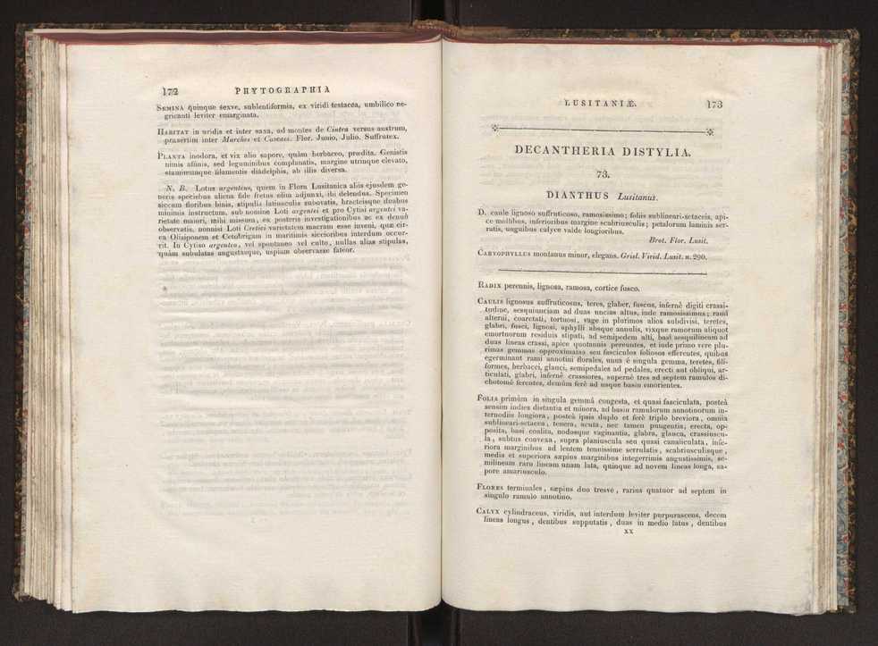 Phytographia lusitaniae selectior, seu novarum rariorum, et aliarum minus cognitarum stirpium, quae in Lusitania sponte' veniunt, ejusdemque floram spectant, descriptiones iconibus illustratae. Vol. 1 93