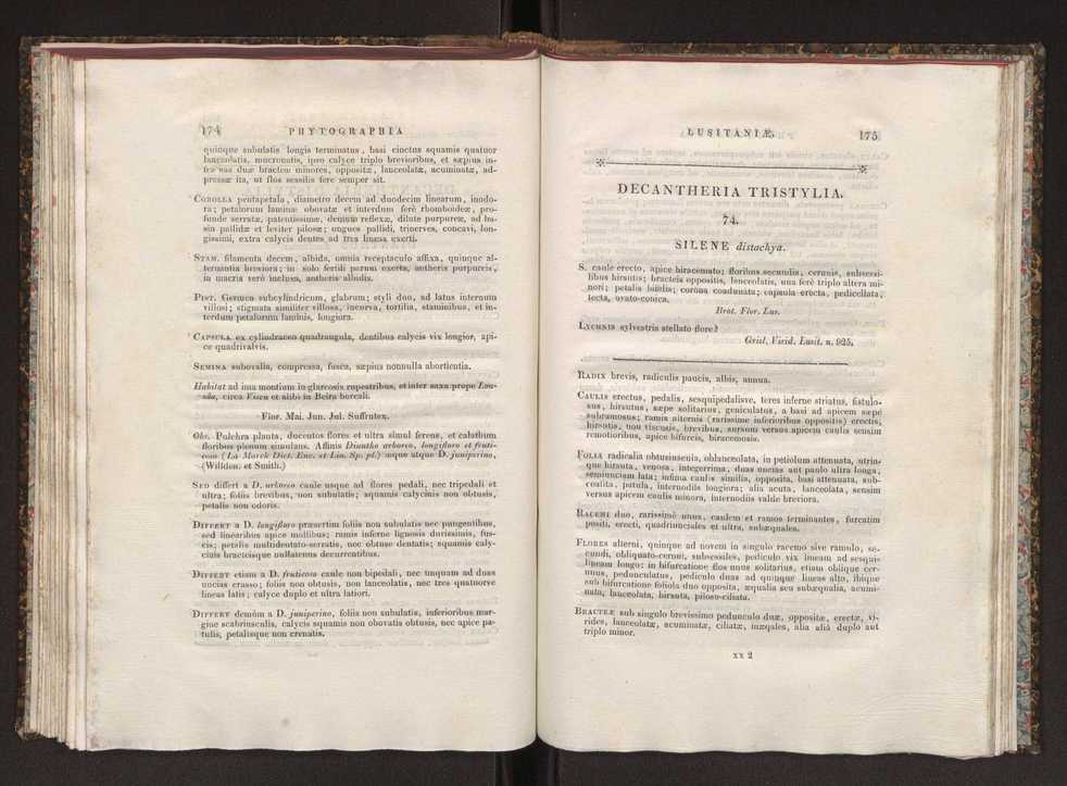 Phytographia lusitaniae selectior, seu novarum rariorum, et aliarum minus cognitarum stirpium, quae in Lusitania sponte' veniunt, ejusdemque floram spectant, descriptiones iconibus illustratae. Vol. 1 94