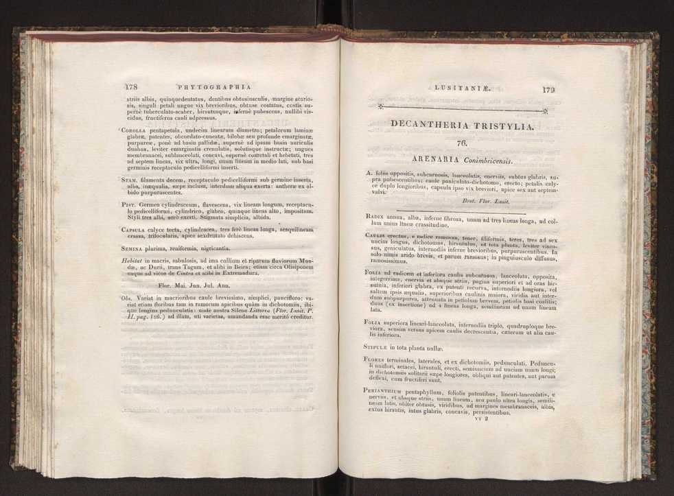 Phytographia lusitaniae selectior, seu novarum rariorum, et aliarum minus cognitarum stirpium, quae in Lusitania sponte' veniunt, ejusdemque floram spectant, descriptiones iconibus illustratae. Vol. 1 96