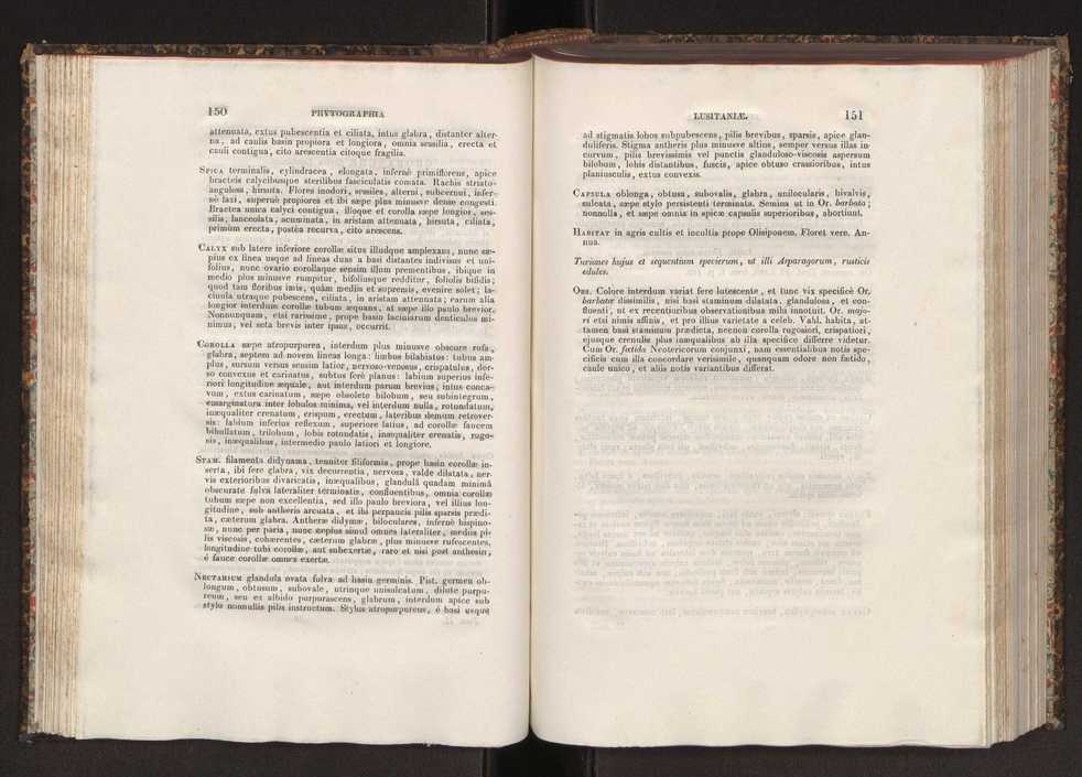 Phytographia lusitaniae selectior, seu novarum rariorum, et aliarum minus cognitarum stirpium, quae in Lusitania sponte' veniunt, ejusdemque floram spectant, descriptiones iconibus illustratae. Vol. 2 77