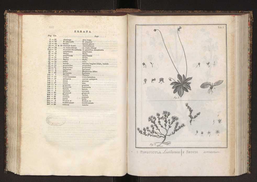 Phytographia lusitaniae selectior, seu novarum rariorum, et aliarum minus cognitarum stirpium, quae in Lusitania sponte' veniunt, ejusdemque floram spectant, descriptiones iconibus illustratae. Vol. 2 134